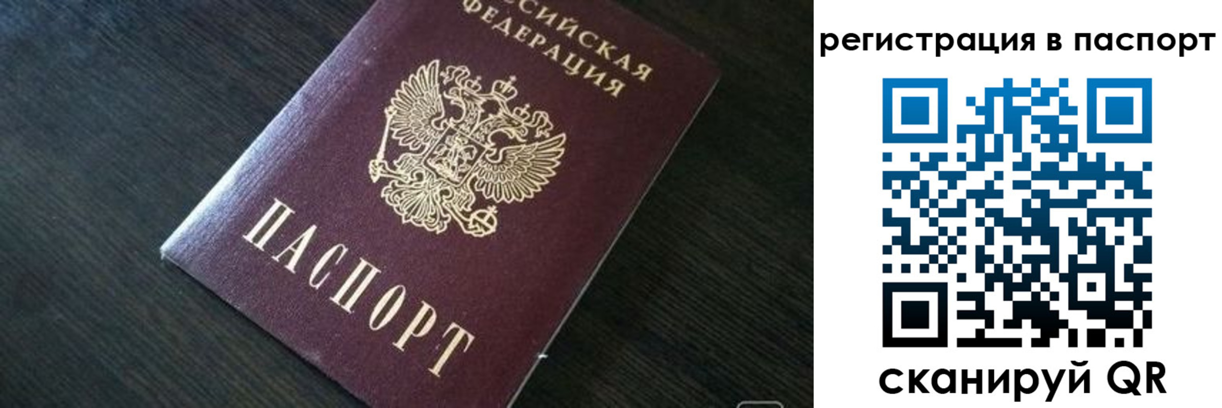 прописка в квартире в Ершове